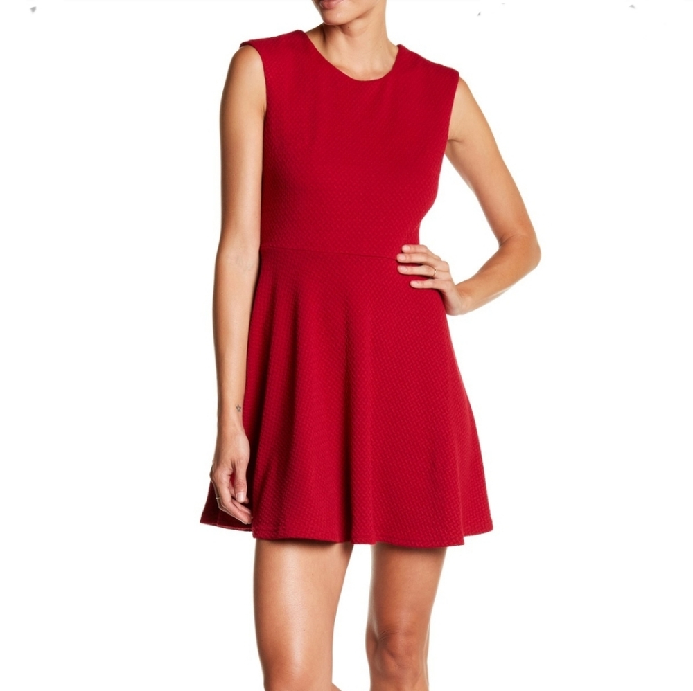 Papillon Solid Sleeveless Fit & Flare Dress Sz M